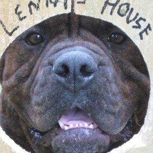 Meet your Posher, George